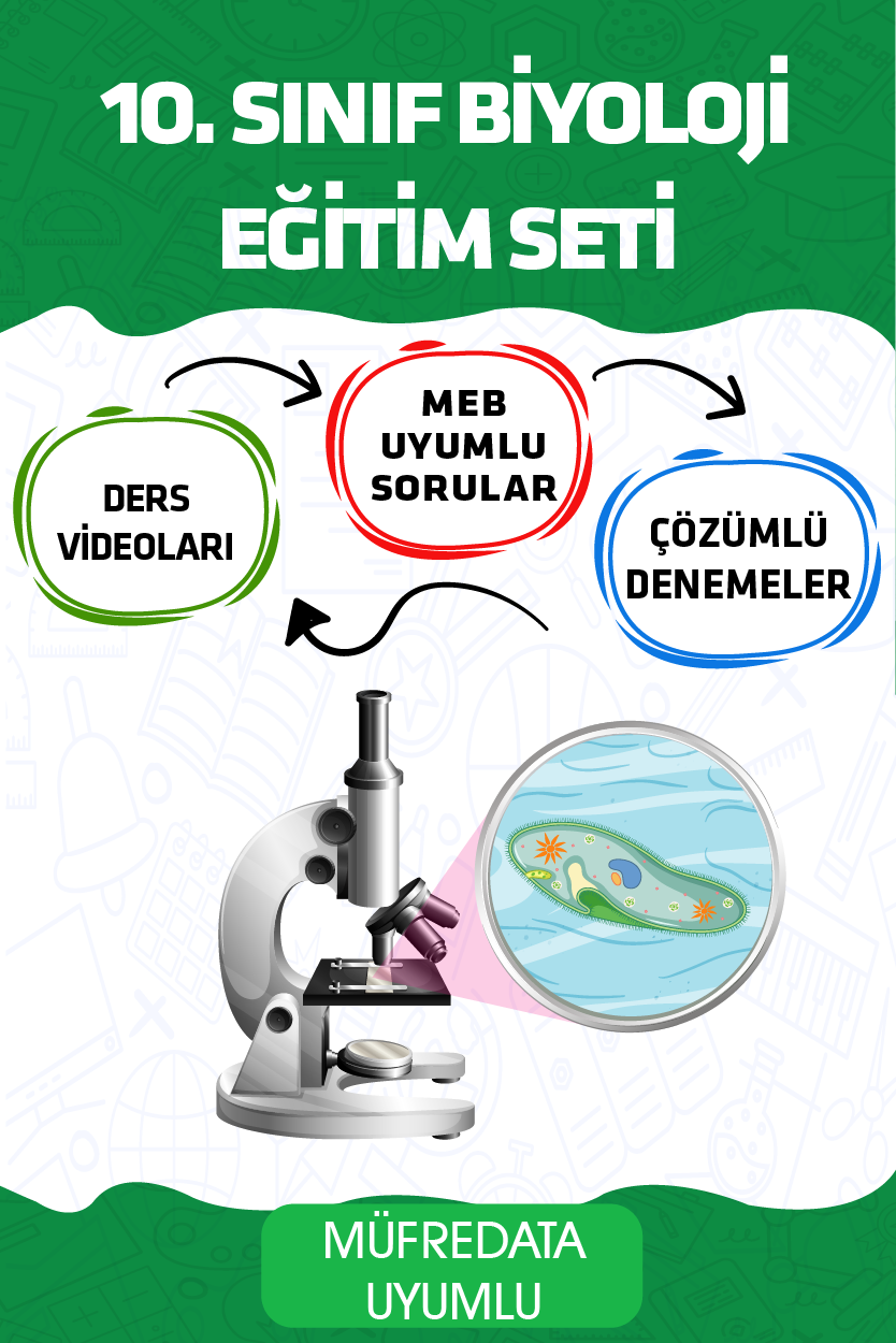 10. Sınıf Biyoloji Eğitim Seti