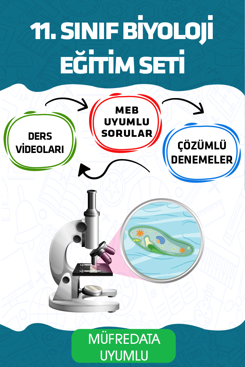 11. Sınıf Biyoloji Eğitim Seti