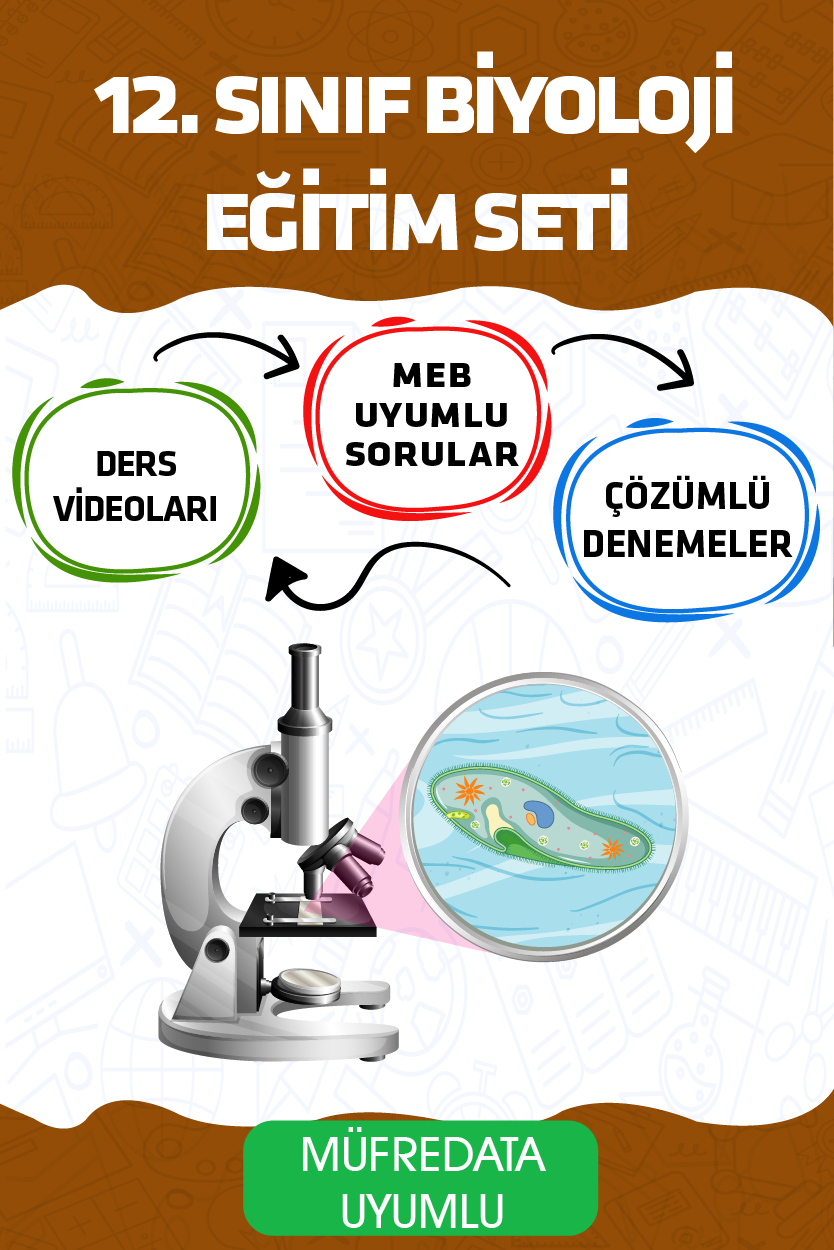 12. Sınıf Biyoloji Eğitim Seti